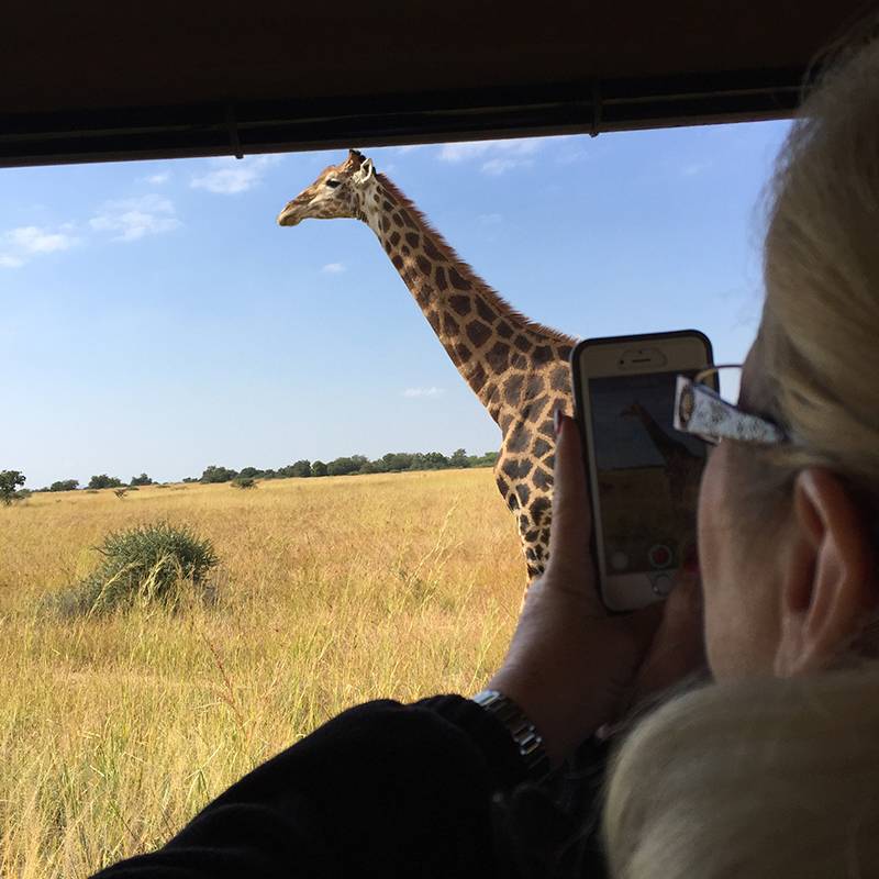 Wild Footprint Safari's, Landscape, hunting, season, South Africa, Safari, photography,